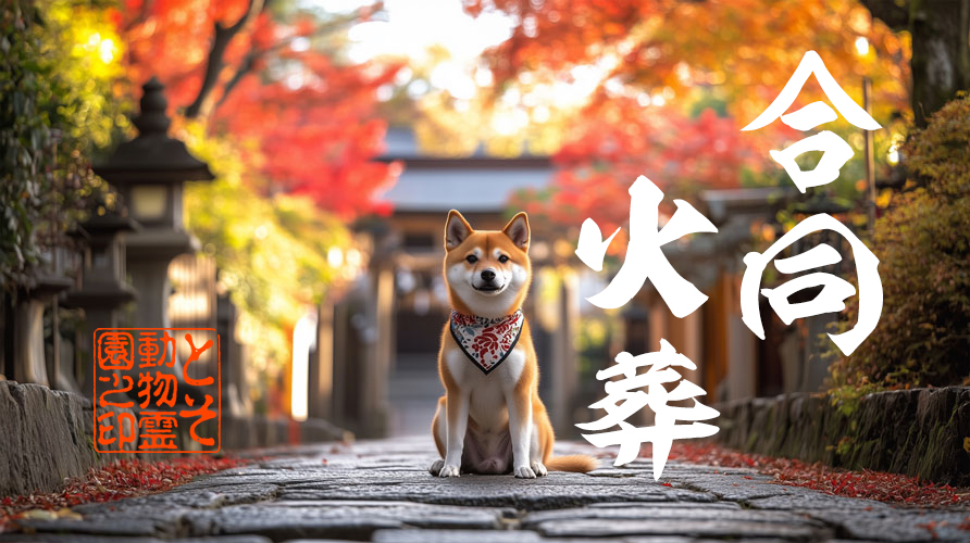 ㊉ 後悔しないペット火葬｜合同火葬こそ「安心」の寺院境内供養塔へ