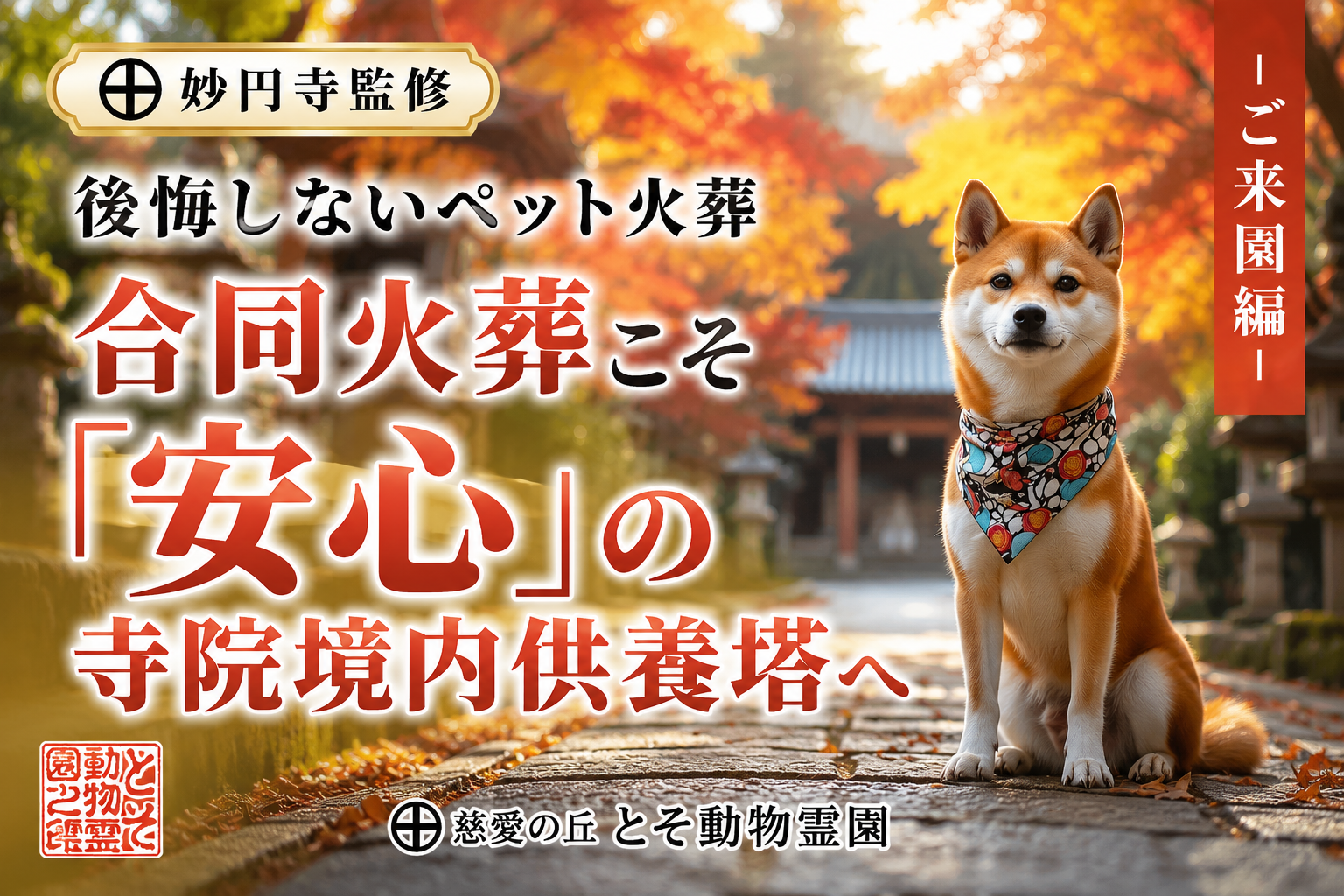 ㊉ 後悔しないペット火葬 −ご来園編−｜合同火葬こそ「安心」の寺院境内供養塔へ