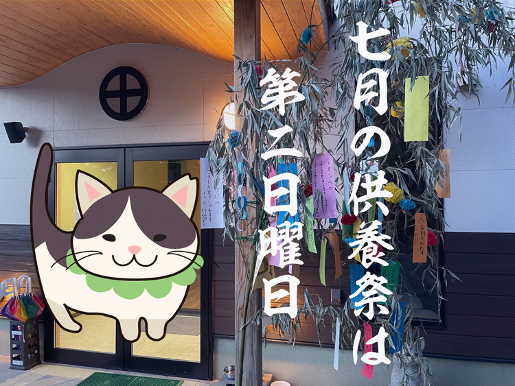 2025/07/13(第2日曜日)※今回は7月13日（第2日曜日）です。月例供養祭は午前11:00より開催　-LIVE配信-