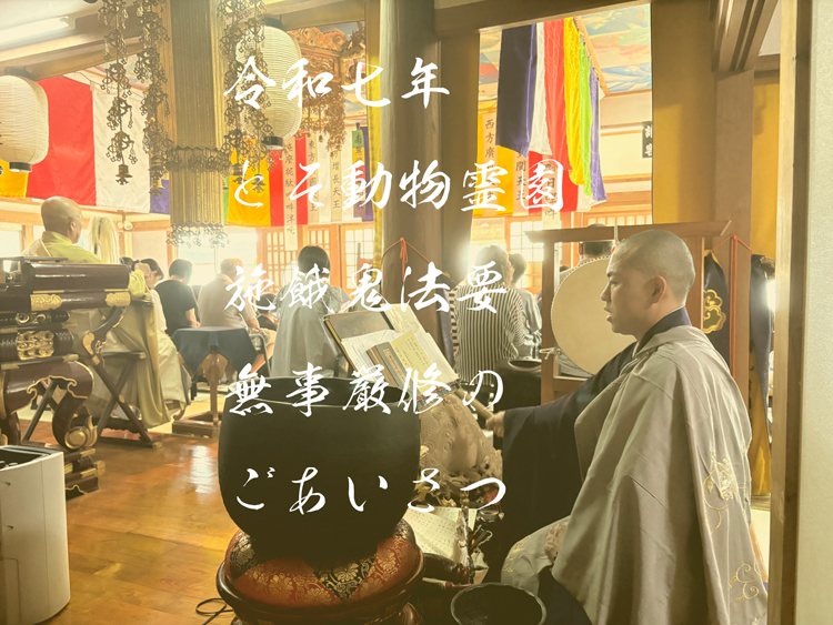 令和７年の施餓鬼法要を無事厳修いたしました。〜ごあいさつ〜
