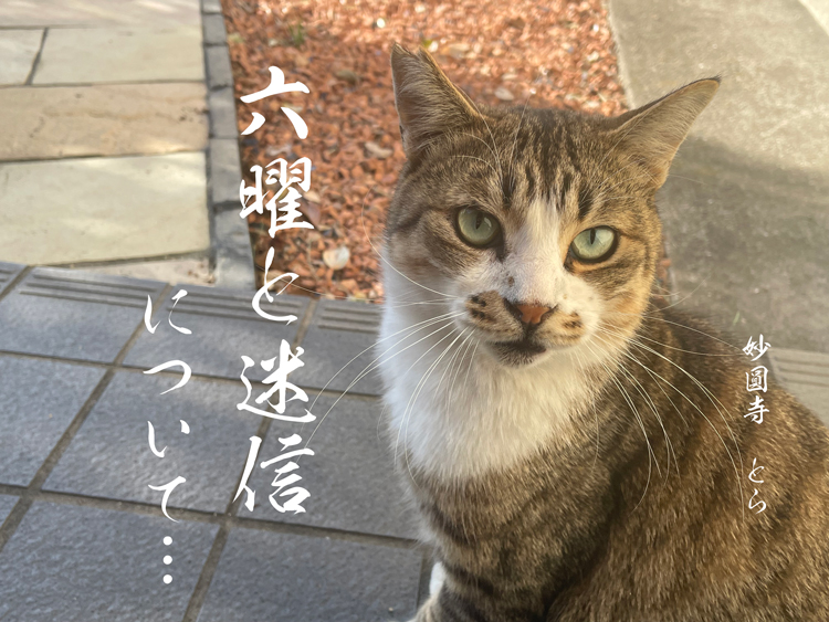 今日は「友引」だからペットちゃんの火葬や葬儀はやめておいたほうがいい？不吉な日は一日も無し「日々是好日」と禅は説く〜六曜と迷信について…