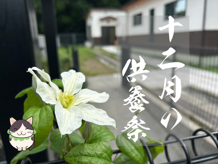 '2025/12/07(第1日曜日)の月例供養祭は午前11:00より開催　-LIVE配信-