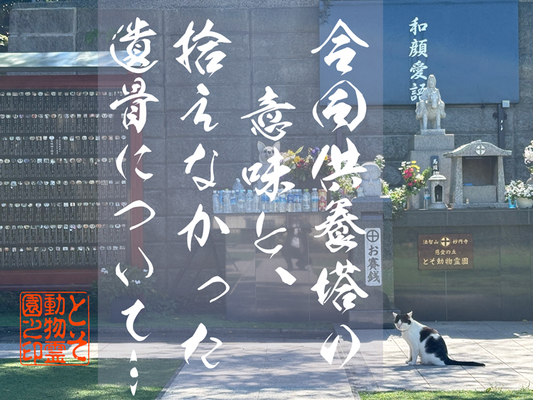 〜拾いきれなかった小さなお骨…その後どうなるか知ってる？〜だから寺院の供養塔が「安心」な理由