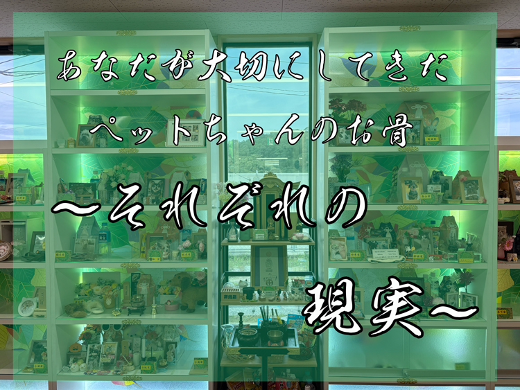 −あなたはペットが大好きですね、お骨もずっと自宅に置きたい…息子さんも好きですか…そうですか、安心ですね、では、将来あなたの家にとつぐ、息子さんのお嫁さんはどうですか？永代供養のススメ−