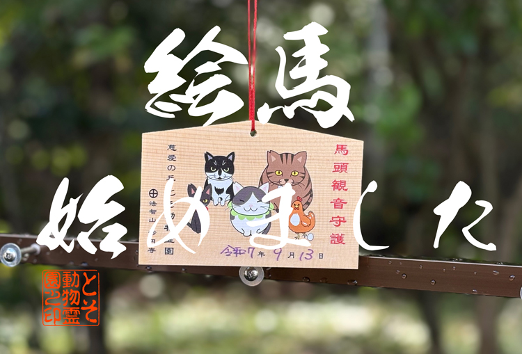 〜とそ動物霊園の絵馬について…あの子への想い、あなたの願い、ご家庭の御守にテイクアウトOK、歴代おくりびと鶏と猫ファンの方、その他諸々〜