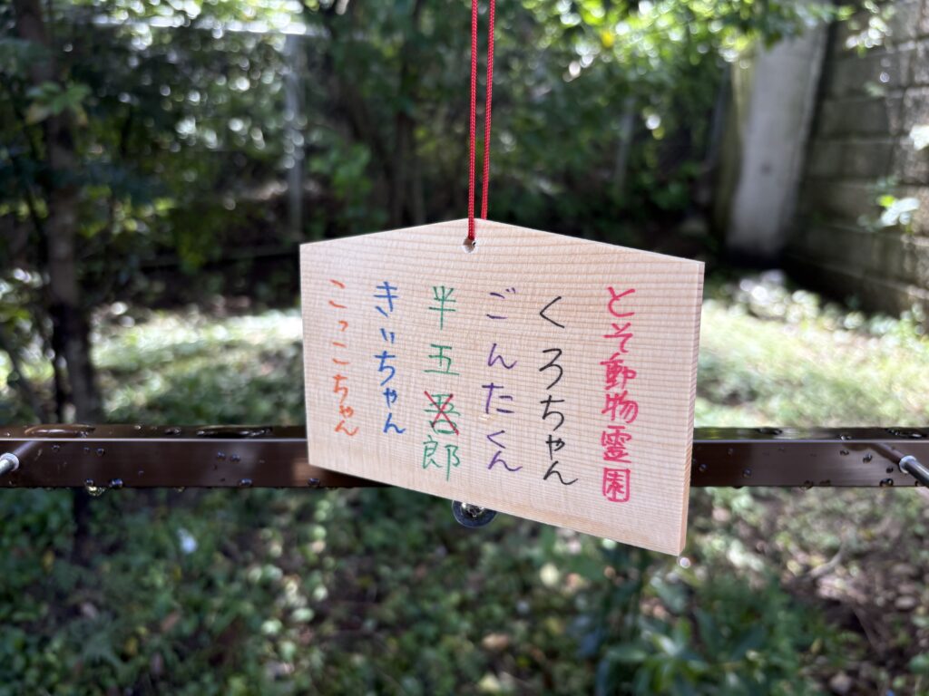 初奉納　半五吾郎…？？　まちがいかっ！笑