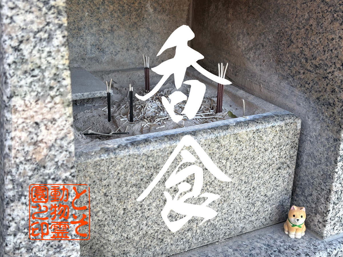 亡くなった後「ほとけさま」は、お線香の煙が御飯になるって本当！？ペットの火葬と四十九日…「香食」と、その後の供養について。。