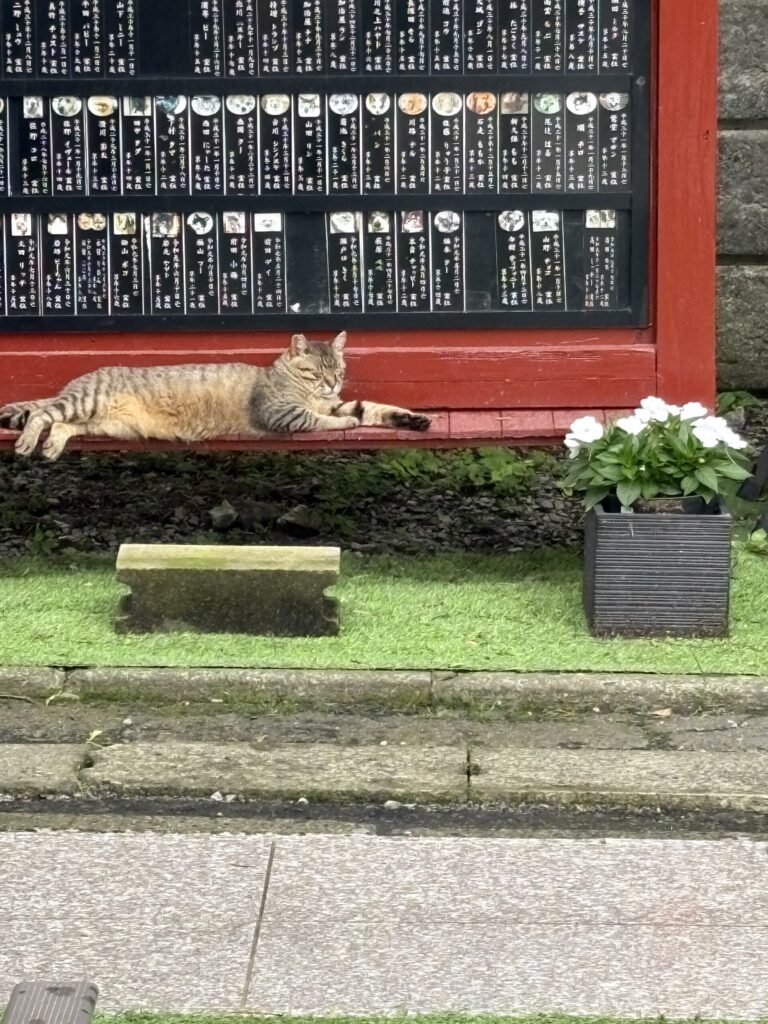 とそ動物霊園の供養碑の前で静かに休む猫