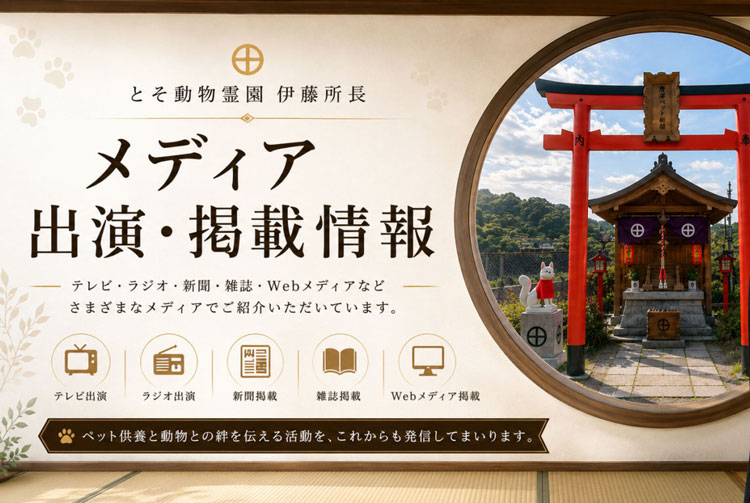 メディア出演・掲載情報