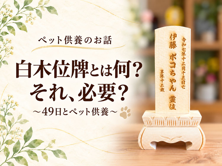 ㊉ ペットの白木位牌とは？必要なの？49日と、その後の供養のお話